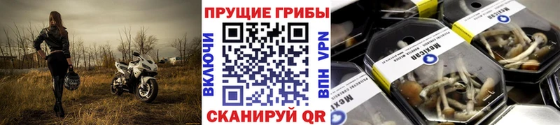 даркнет сайт  дарк нет какой сайт  Псилоцибиновые грибы ЛСД  Солнечногорск 
