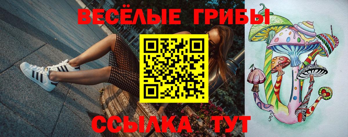 Солнечногорск  Галлюциногенные грибы Cubensis  Вход с VPN 
