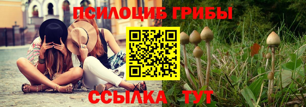 Псилоцибиновые грибы Magic Shrooms Солнечногорск