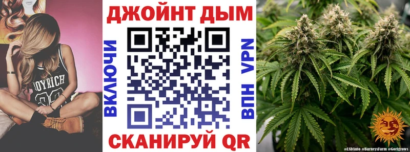 Конопля сатива  купить закладку  Солнечногорск 